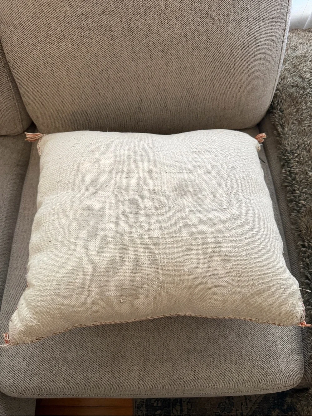 Neutral Cream Moroccan Cactus Sabra Silk Pillow Covers | 19x19